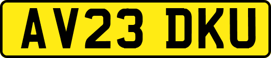 AV23DKU