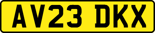 AV23DKX
