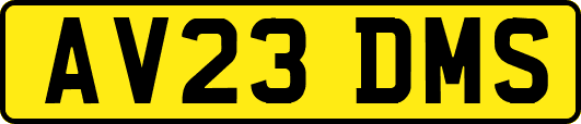 AV23DMS