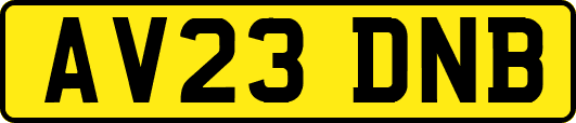 AV23DNB