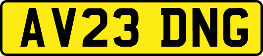 AV23DNG