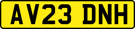 AV23DNH