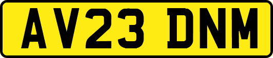 AV23DNM