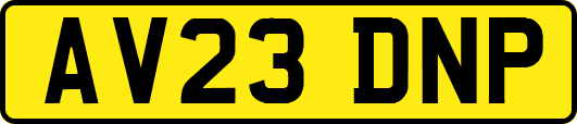 AV23DNP
