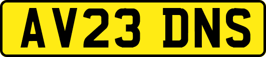 AV23DNS