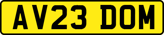AV23DOM