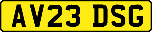 AV23DSG