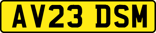 AV23DSM