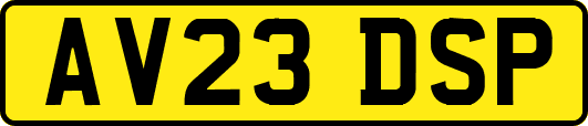 AV23DSP