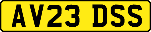 AV23DSS