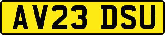 AV23DSU