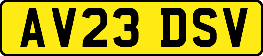 AV23DSV