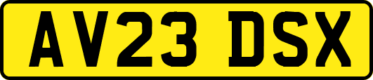 AV23DSX