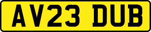 AV23DUB