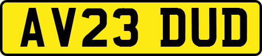 AV23DUD