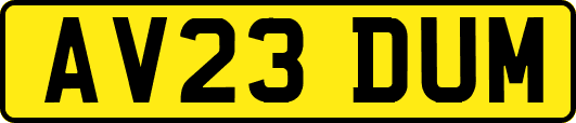 AV23DUM