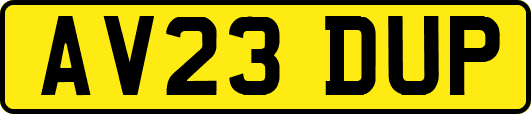 AV23DUP
