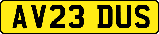 AV23DUS