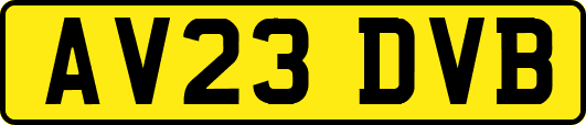 AV23DVB