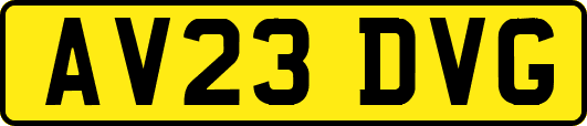 AV23DVG