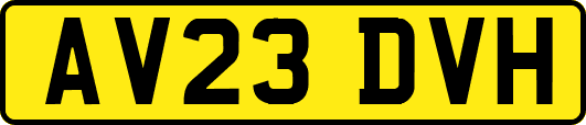 AV23DVH