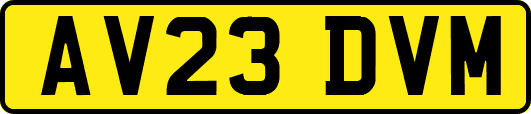 AV23DVM