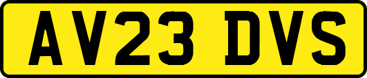 AV23DVS