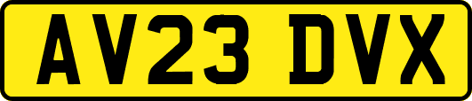 AV23DVX