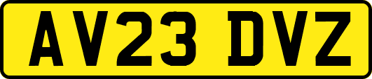 AV23DVZ