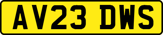 AV23DWS