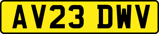 AV23DWV