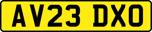 AV23DXO