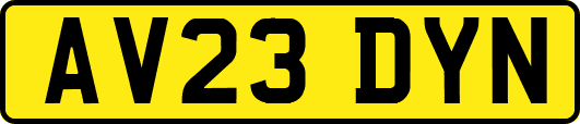 AV23DYN