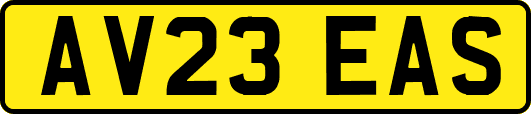 AV23EAS