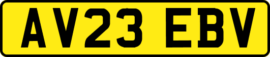 AV23EBV