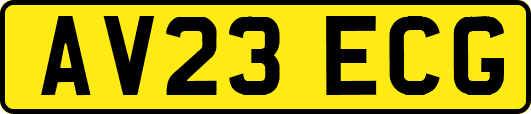 AV23ECG