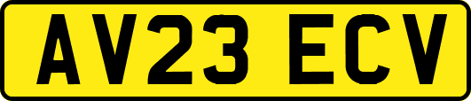 AV23ECV