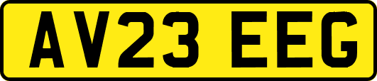 AV23EEG