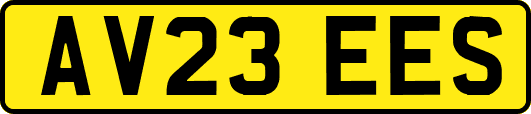 AV23EES