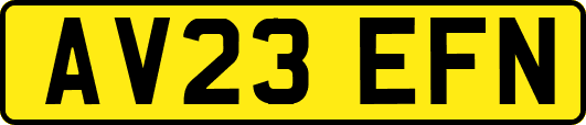 AV23EFN
