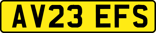 AV23EFS