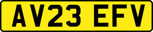 AV23EFV