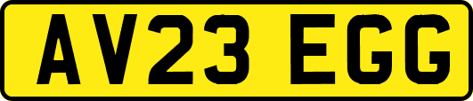 AV23EGG