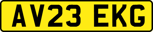 AV23EKG