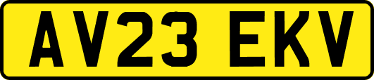 AV23EKV