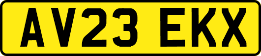 AV23EKX