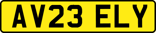AV23ELY