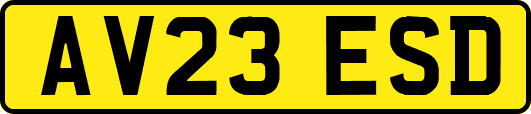 AV23ESD