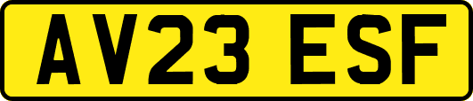 AV23ESF