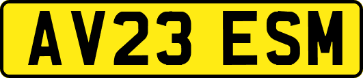 AV23ESM